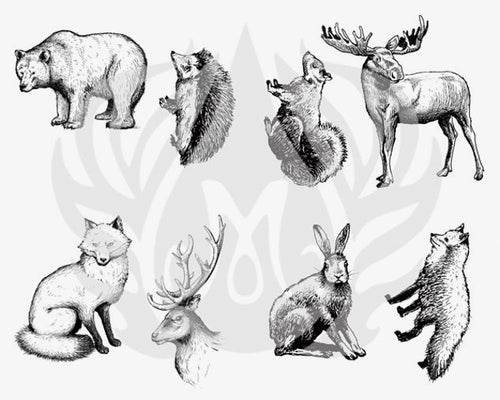 Woodland Animals - Mayco Silkscreen DSS0165