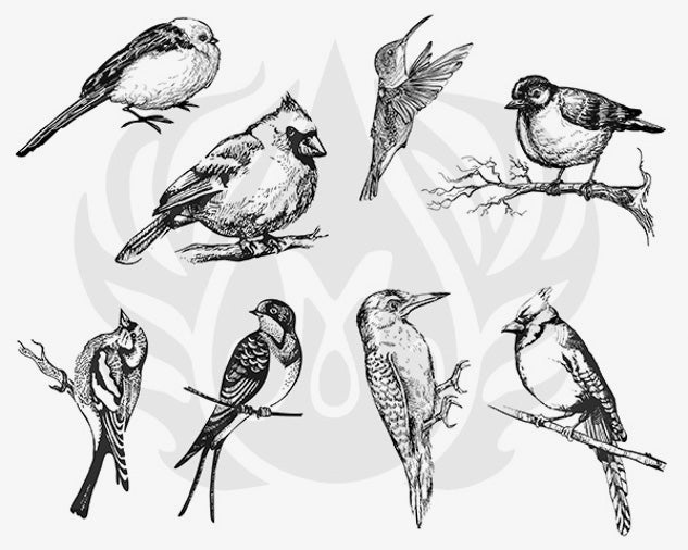 Aviary Small Birds - Mayco Silkscreen DSS0108