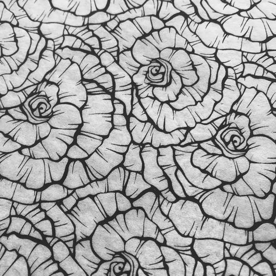 Roses - Underglaze Transfer Sheet by Elan Pottery